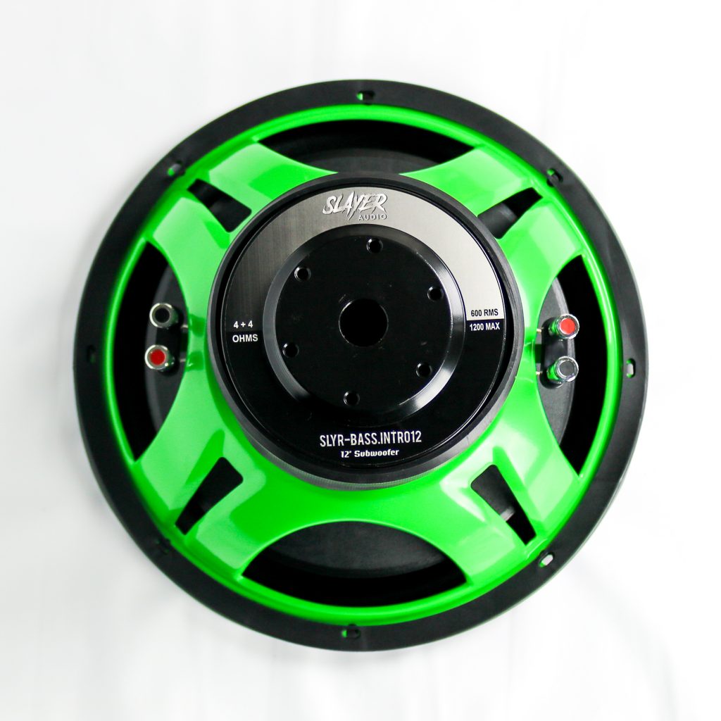Bully Performance Audio Slayer Audio SLYRBASS.INTRO12 12